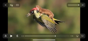 Meet your Posher, Remember